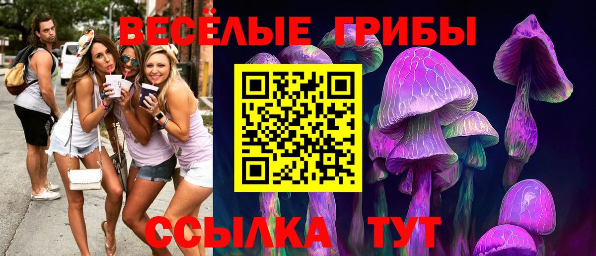Галлюциногенные грибы мухоморы  Галлюциногенные грибы Cubensis  Мценск  Вход с VPN 