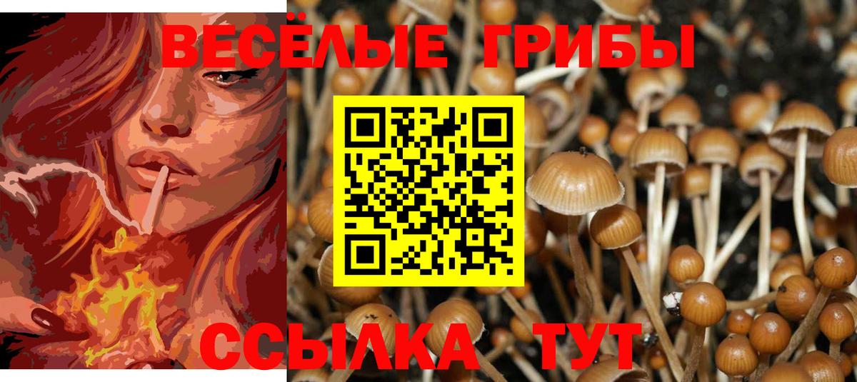 Псилоцибиновые грибы прущие грибы Мценск
